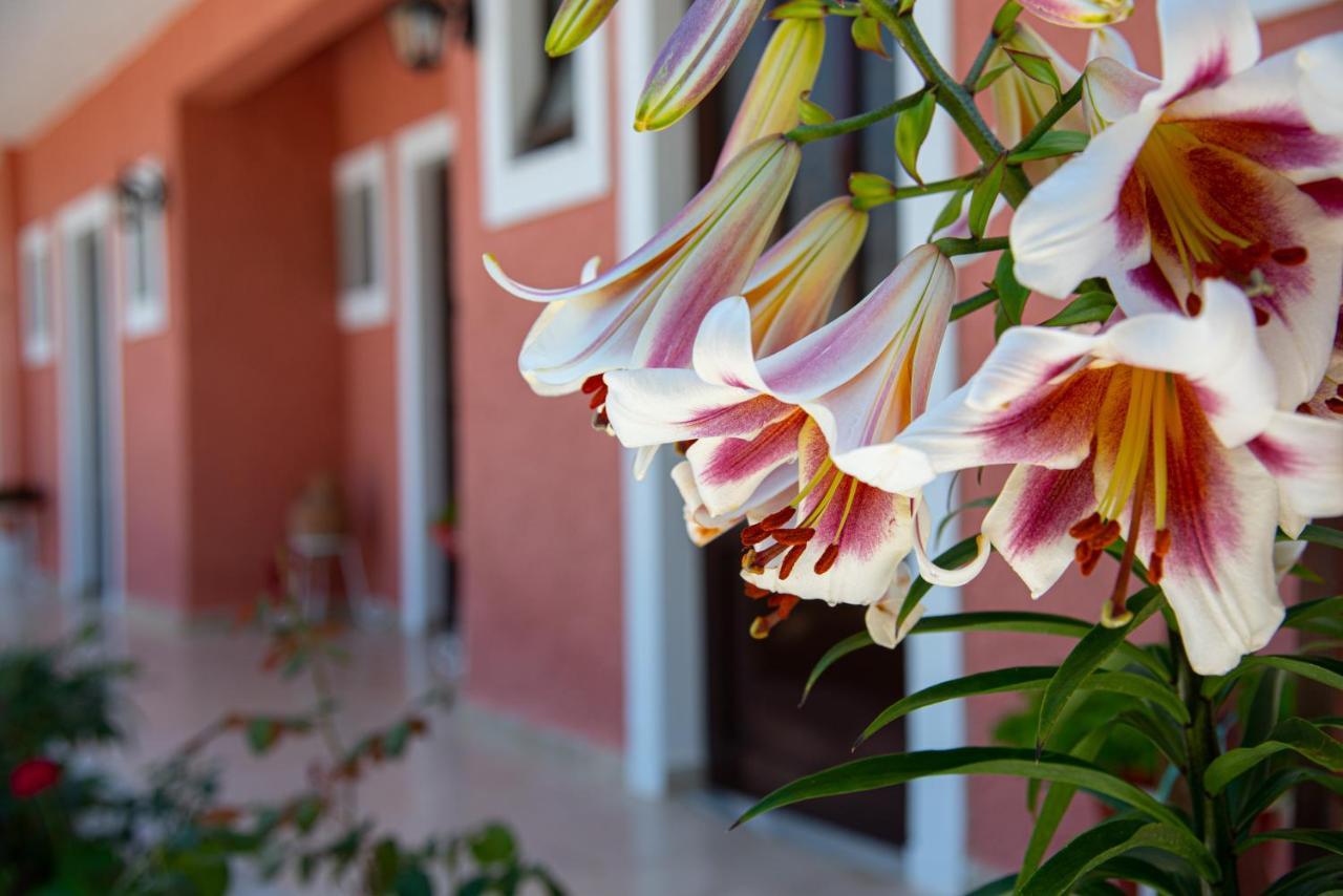Costas Apartments Mesongi Ngoại thất bức ảnh